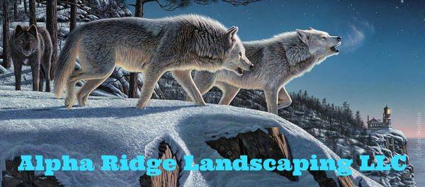 Alpha Ridge Landscaping