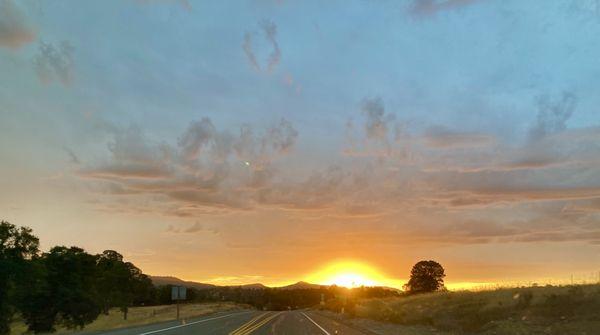 Murphys Taxi Service