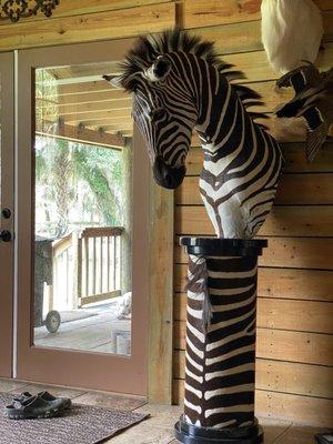 Seminole Prairie Safaris