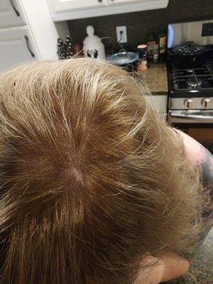 Paul Mitchell The School St.Louis