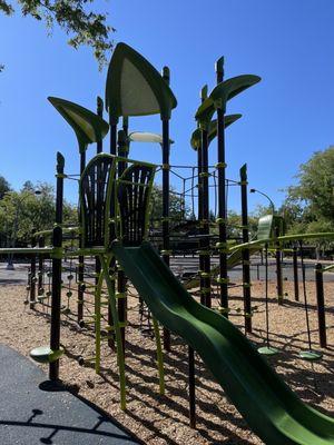 2974 Salvio Street Park