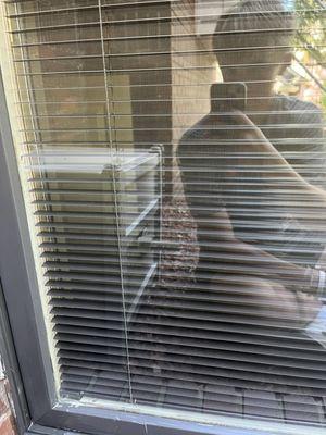 Wet Willy Window Washing