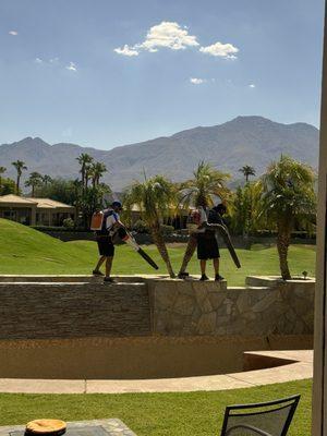 Precision Pool Tile Cleaning