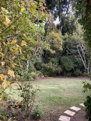 Affordable Tree Care