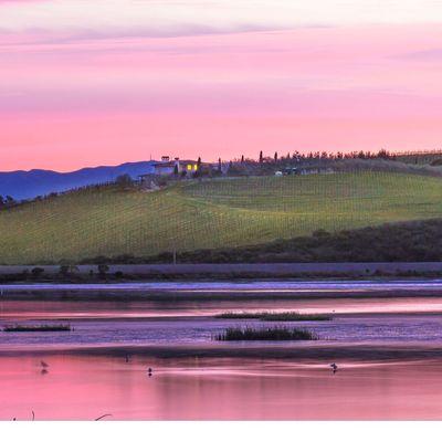 Élever Vineyards & Winery