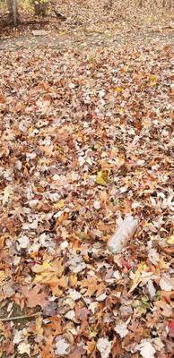 RoMa General Landscaping