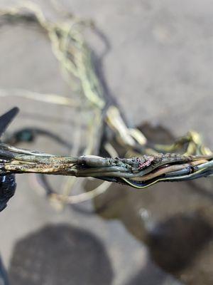 Call/text for an estimate!