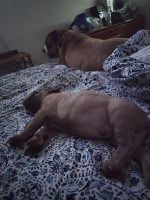 Finn recovering nicely