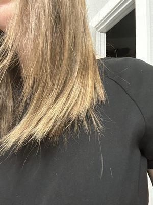 Amy Tsai, Hair Stylist