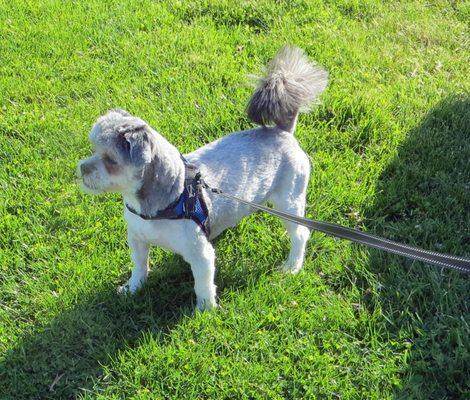 Muddy Paws Pet Salon