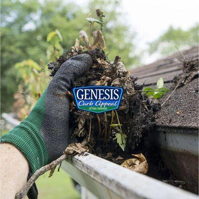 Genesis Curb Appeal