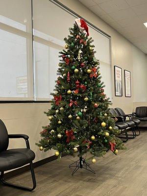 Tree displayed in waiting area