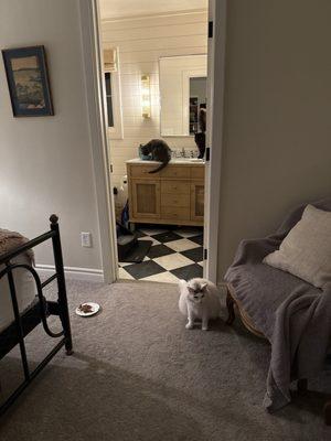 Kyle Beym Home Improvements