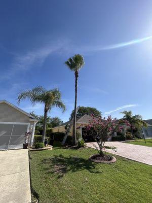 Abner Lanscaping Services