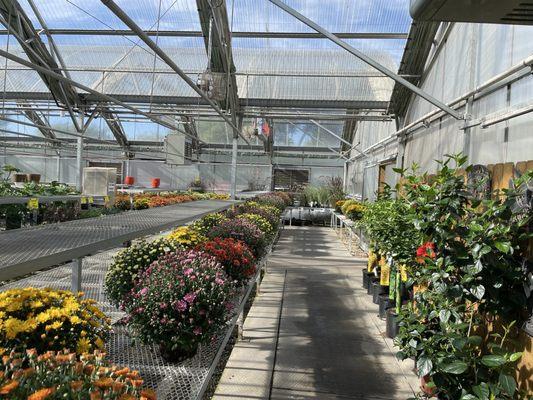 Jolly Lane Greenhouse