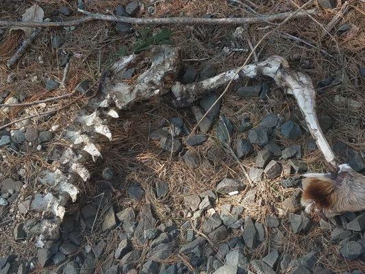 Farmington Canal Heritage Trail