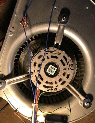 Appliance Repair Master