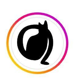 The Alley Cat Chicago - Opening January'ish 2026 - source Eater Chicago - business and info added 11.24.25 - photo via site