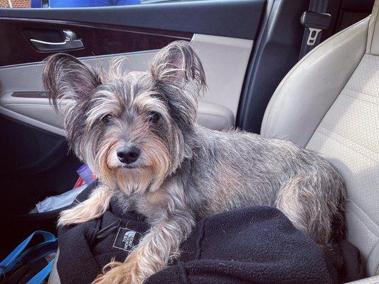 Falls Village Veterinary Hospital