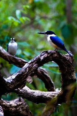 Golden Gate Integral Counseling Center