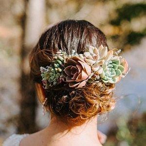 5-Succulent Hair Comb