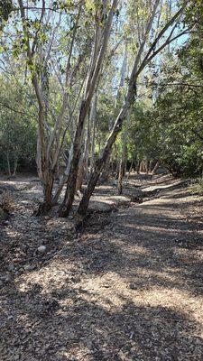 Hillside Recreation Center