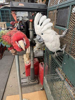 Fitchett Fabrications & Auto Service