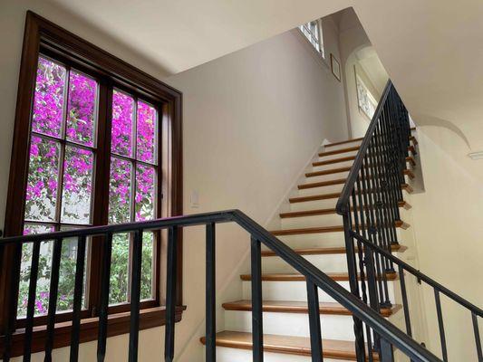 Hollywood Window Cleaning