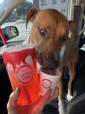 Scooters of Sioux Falls