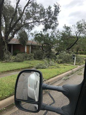 Johnnys Tree Service