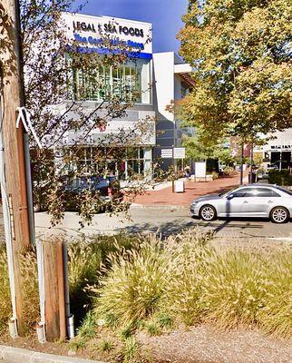 Legal Sea Foods - Chestnut Hill