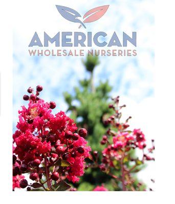 American Wholesale Nurseries