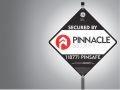 Pinnacle Security