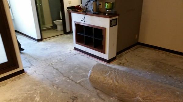 Ultimate Carpet Repair