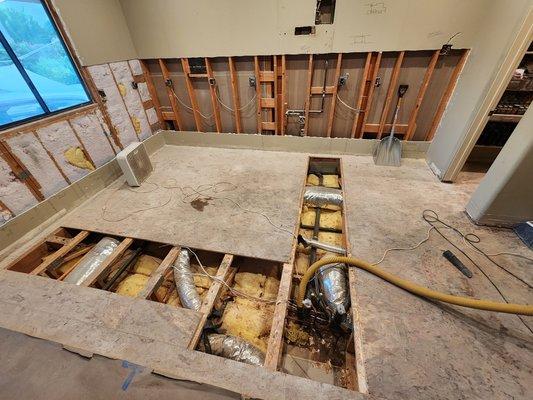 Desert Auto Detailing & Paint Services