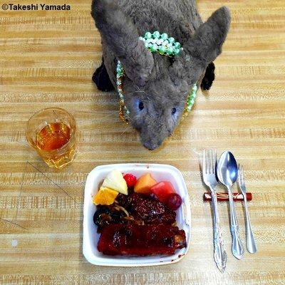 JOHN'S RESTAURANT. (re-openend,.as of 2018.0711) Dr. Takeshi Yamada & Seara (Coney Island sea rabbit). Pay-per-pound buffet restaurant.