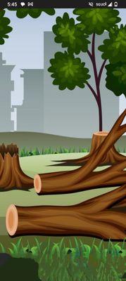 FrankLawn Grass Trees and Hauling