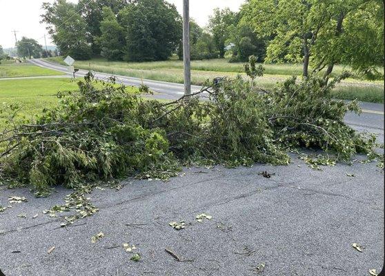 Sanders Revive Solutions