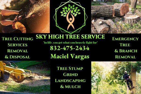 Sky High Tree Service