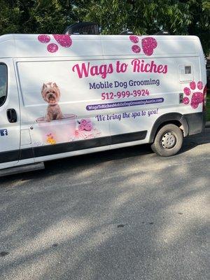 Wags to Riches Mobile Dog Grooming