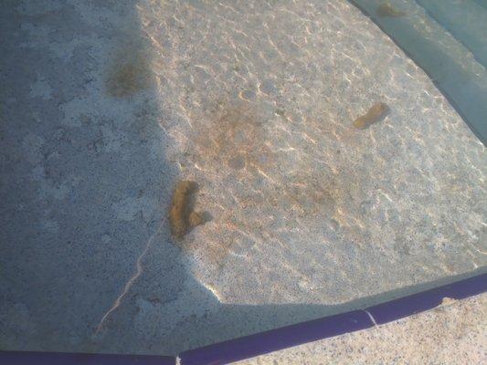 Tri-Par Estates Park & Recreation District