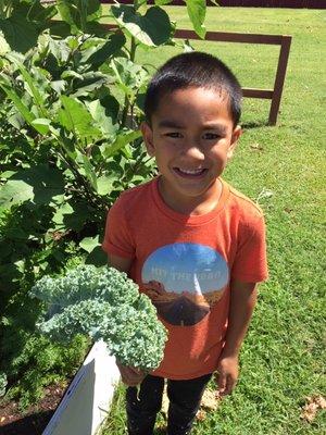 Rainbow Schools - Kahuku