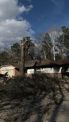 Cornejo Tree Service