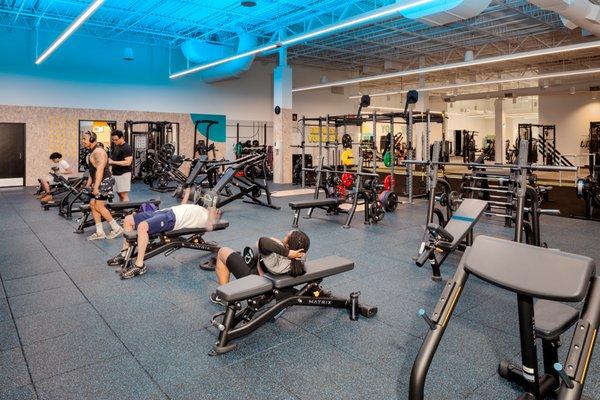 Pure Fitness - Springfield