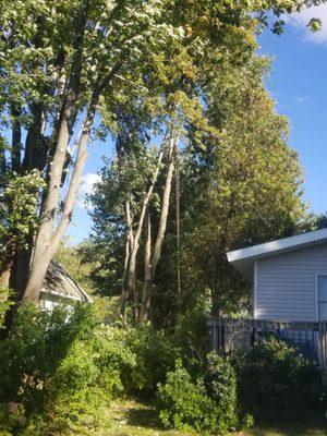 Kersting’s Tree Service