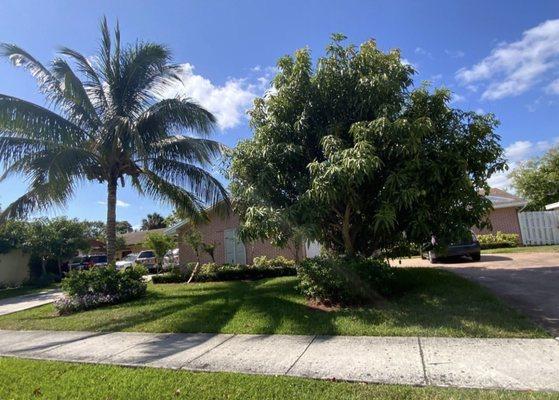 Bizoniste Hilaire Landscaping and Tree Service