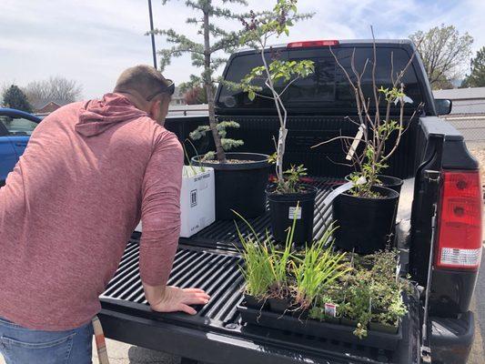 Country Gardens Nursery