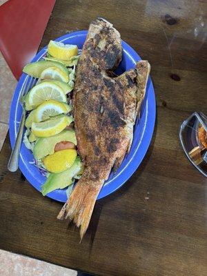 Red snapper