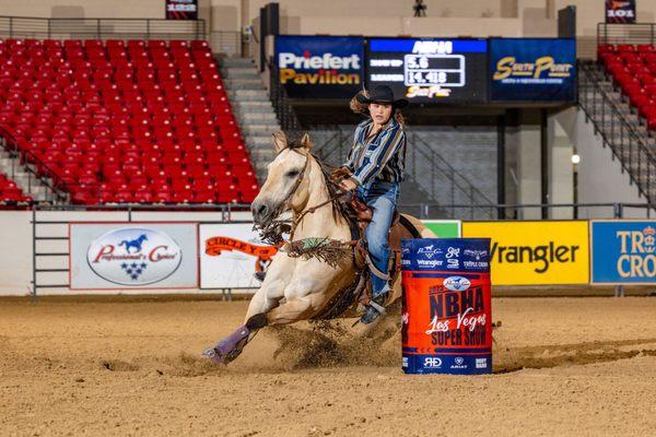 Elite Equine Training