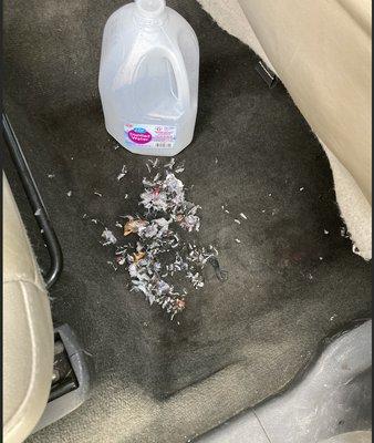 Ripped up carpet pieces